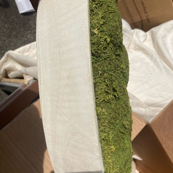Artificial Moss Wood Plant Arrangement - Threshold - Picture 6 of 6